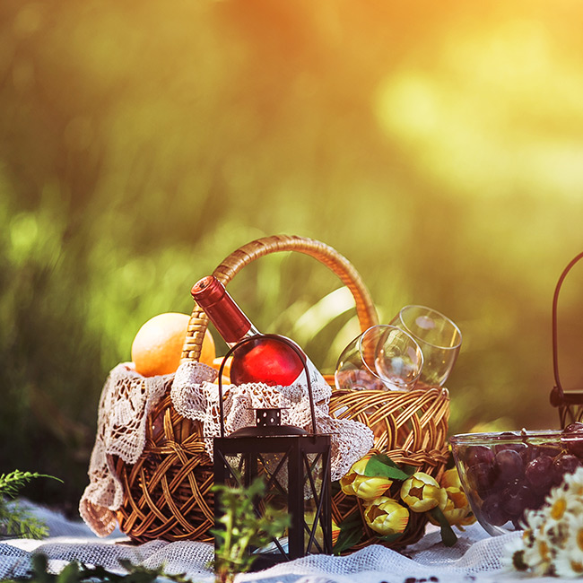 zakdoek ziel De vreemdeling Picknicken | Alles voor uw party